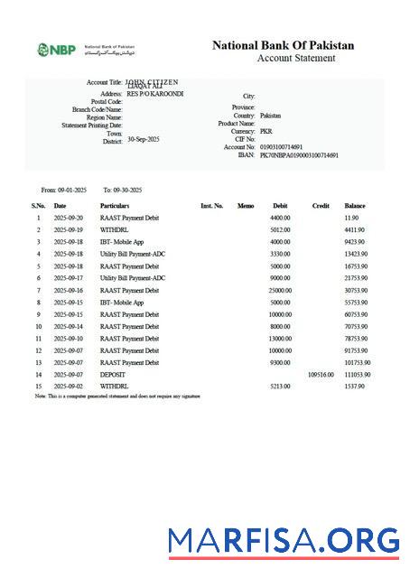 Printable Pakistan National Bank of Pakistan account statement word example